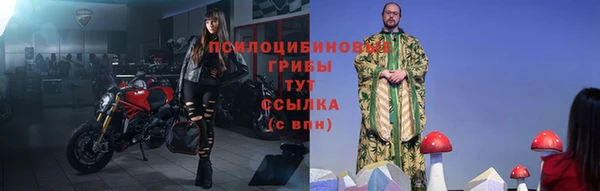 mdpv Гусев