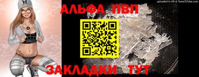 стаф Кунгур