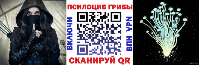 Галлюциногенные грибы Cubensis  наркошоп  Владимир 
