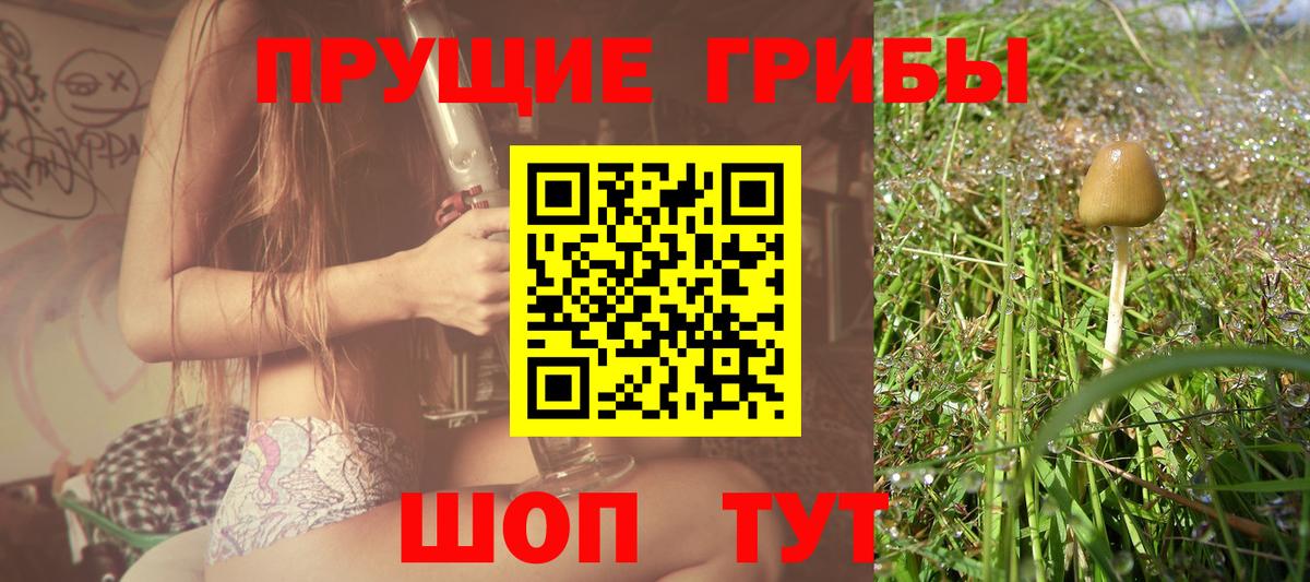 что такое наркотик  Псилоцибиновые грибы мицелий  Вход с VPN  Владимир 