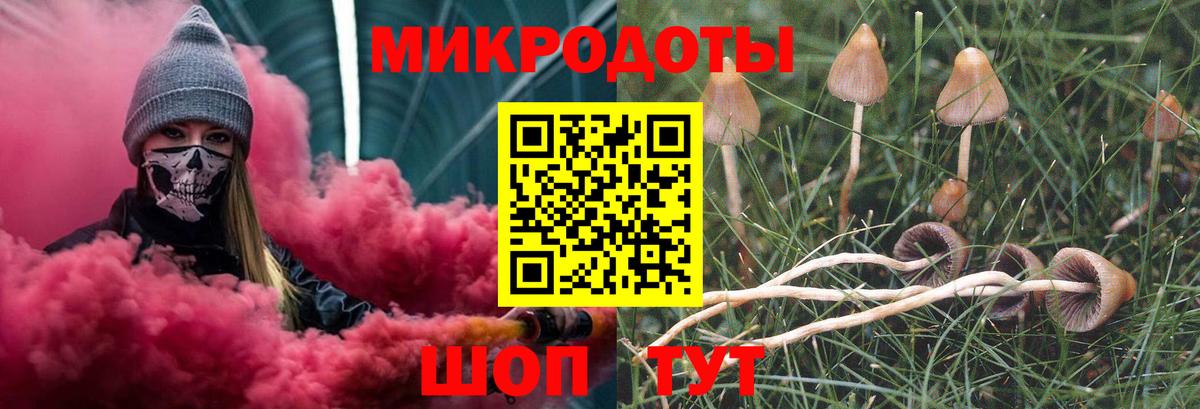 Галлюциногенные грибы прущие грибы Владимир